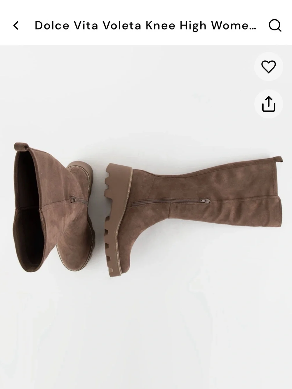 Dolce Vita Boots in Brown